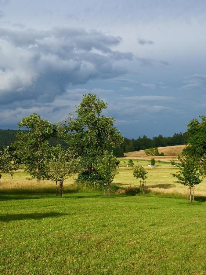 Mooi Ruim Appartement In Antieke Stadsboerderij Schonecken Екстер'єр фото